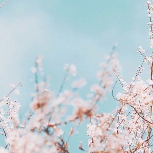 Meet your Posher, Naasia